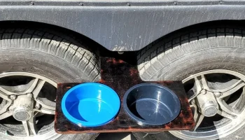 Настраиваемый держатель для посуды с водой - туристическ... 1