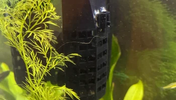 Игровой домик для водных кормушек