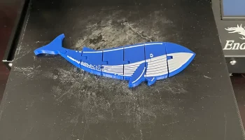 Печать на месте Flexi Whale 2