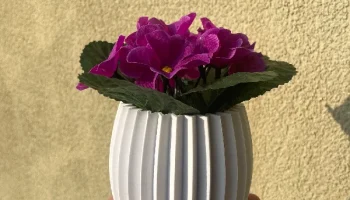 Vase 04 Vase 04