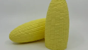 Corn