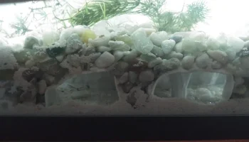 Aquarium Cave 1 Remix - Snail Escape Hole Edition 1