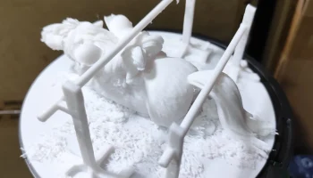 Школа верховой езды Телвелл для девочек - модель
