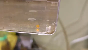 Яичный стакан для жарки рыбы 2