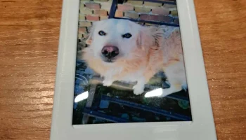 Магнитный мини-футляр Instax 4