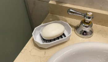 Низкополигональный овальный поднос - мыльница