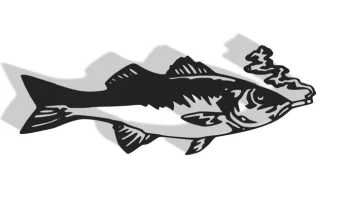 Fish Decor Fish Decor