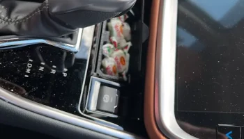 Контейнер Subaru Outback с крышкой 4