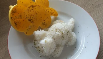 Форма для риса в форме кота 4