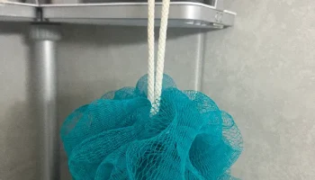 Replacement Threshold Shower Caddy Hook | Razor & Loofah... 8