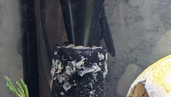 Адаптер фильтра предварительной очистки Aquaclear 50 Адаптер фильтра предварительной очистки Aquaclear 50