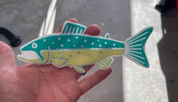 Trout 1