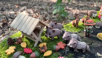 Лесной кабан 3