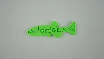 AGGRC Flexi данио 1