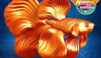 Beta Fish