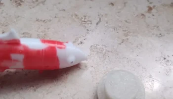 Zylinder f&uuml;r den Fisch/ Цилиндр для рыбы 1
