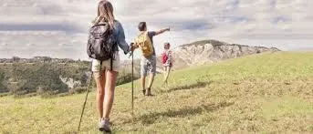 Leki Ski Basket/Teller &oslash; 90 мм