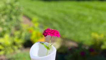 Small Vase 1