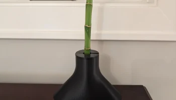 Отдельно стоящая ваза для Lucky Bamboo