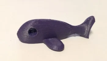 Fish Fish