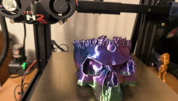 Серия "Король черепа" нежити _ Skull-Bowl -3D Модель 5