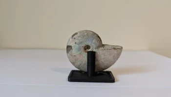 Подставка для ископаемых аммонитов (или любая круглая вещ... 2