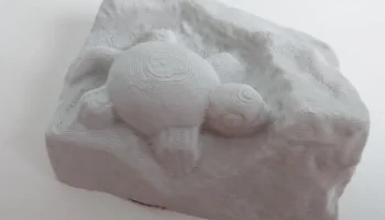 Каменная черепаха (тест MeshRoom)