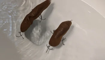 Поплавковая приманка для рыбы