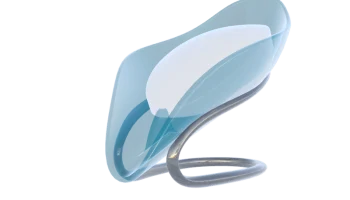Soap Dish 2