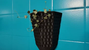 Wall Vase 1