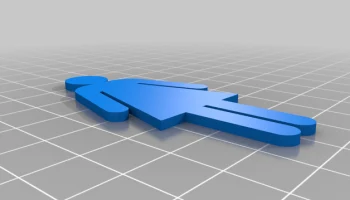 Дебют Стиквумен