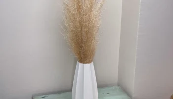 Star Vase 1