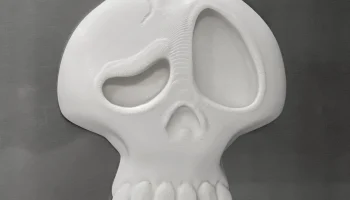 SUS Skull 3