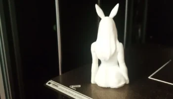 Bunny girl 4