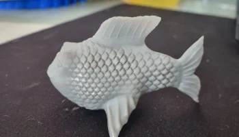 Happy fish 1