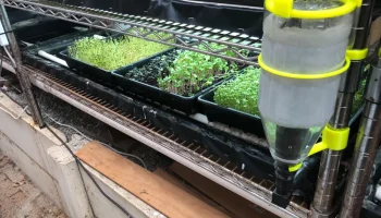 Мини-вихревой фильтр Aquaponic (или стандартный фильтр) 9