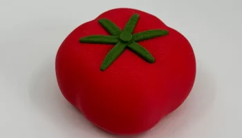 Tomato 1