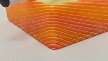 Держатель для купюр Fish'O'Fillet сашими размером 3 x 3 д... 4