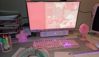Монитор кошачьих ушей 1