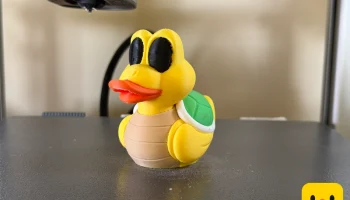 Koopa Troopa Duck 2