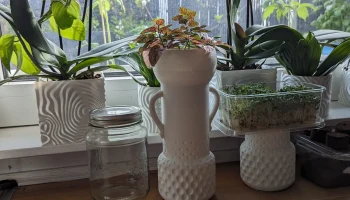 ваза для содержания - принт vasemode, который нужно немно... 2