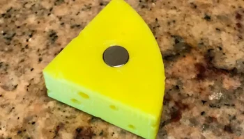 Магнит с сырной головкой 1
