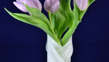 Eva Vase 1