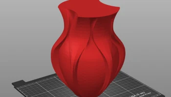 Curvy Vase