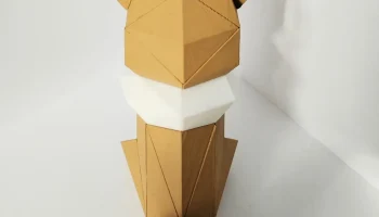 МАГНИТНАЯ ЗАГАДКА EEVEE 4