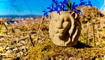 LION Ваза-ваза-горшок