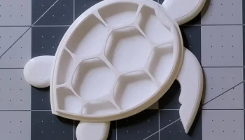 Мыльница из морской черепахи 1