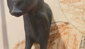 Поистине 3D-магнит для кошек, также известный как "Catgne... Поистине 3D-магнит для кошек, также известный как "Catgne...