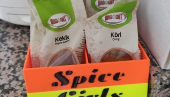 Spice Girls - Журнал Spice