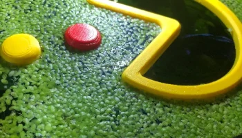 Рыбный портал Pacman 2